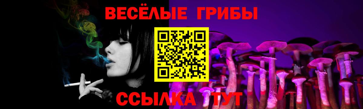 Алексеевка  Псилоцибиновые грибы MAGIC MUSHROOMS  Псилоцибиновые грибы прущие грибы  Вход с VPN 